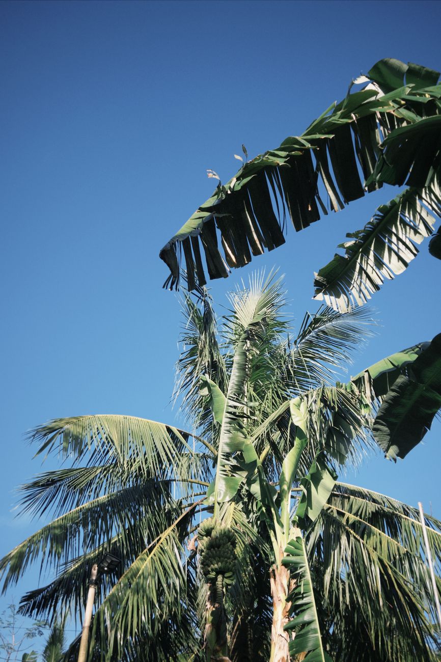 Praia Cloud 9
